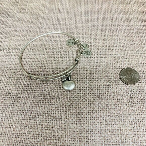 Alex and Ani Silver Apple Bracelet - Picture 1 of 3